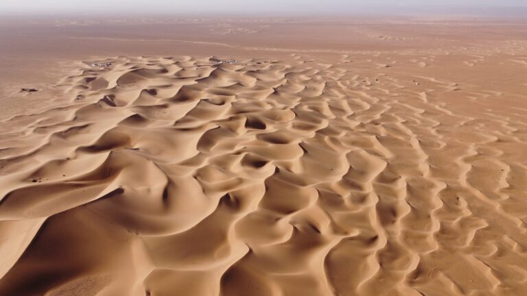 Wind-carved ripples across the Erg Chebbi dune field seen from directly above
