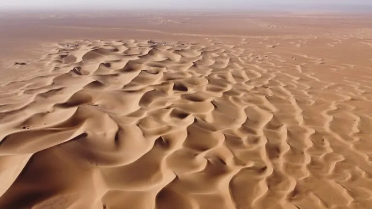 Wind-carved ripples across the Erg Chebbi dune field seen from directly above