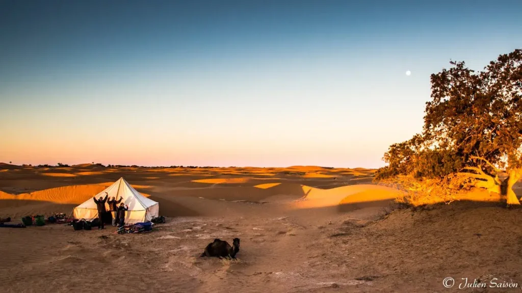 Wild Sahara camp at sunset